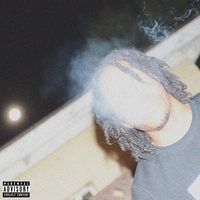 The Unbirth - Chris Travis