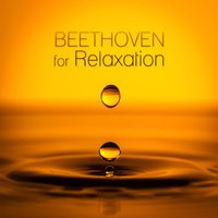 Piano Sonata No. 29 in B-Flat Major, Op. 106 “Hammerklavier”: III. Adagio sostenuto - Wladimir Holek & Ludwig van Beethoven