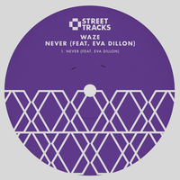 Never - Waze & Eva Dillon