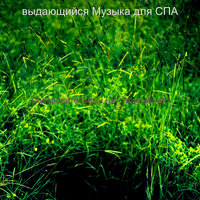 Атмосфера (Оздоровительный) - выдающийся Музыка для СПА