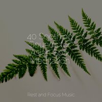 Air of Mystery - Yoga Music & Spa Music Relaxation & Study Music & Sounds