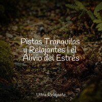 Brisas Oceánicas - Musica relajante & Musica Para Relajarse & Naturaleza Sonidos