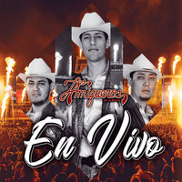 El Amigo (En Vivo) - Los Amigueros de la Sierra