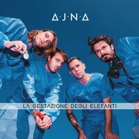 Cerco - Ajna