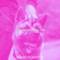 Vintage Dogs - Music for Dogs Collections
