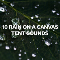 Rainy Tent - Rain Recorders & A Sudden Rainstorm