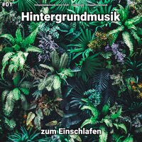 Entspannungsmusik zum Einschlafen - Entspannungsmusik & Schlafmusik & Entspannungsmusik Armin Sindt