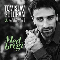 Lepe ti je zagorje zelene - Tomislav Goluban & Little Pigeons Forhill Blues