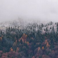 Día Soleado - Piano para Dormir & Massagem Coleção de Músicas & Musica Para Meditación Profunda