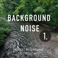 Forest Riverbank Soundscape, Pt. 5 - Thomas O'Reilly