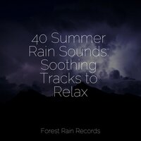 Waves, Shore, Rugged Water - Meditation & Stress Relief Therapy & Weather Factory & Lluvia PQ