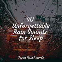 Rain in Window - White Noise Sound Garden & Best Relaxing Spa Music & Nature & Sounds Backgrounds