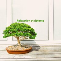 Walking - Relaxation Détente & Musique de Relaxation & Musique Relaxante et Détente