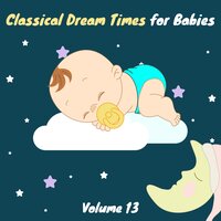 Cello Concerto In B Minor, Op. 104: III. Finale - Allegro Moderato - Chamber Armonie Orchestra