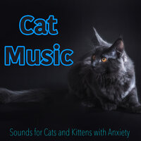 Soothing Cat Songs - RelaxMyCat & Relax My Kitten & Cat Music Dreams