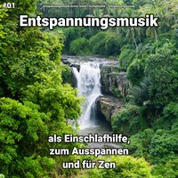 Instrumentalmusik für den Tiefschlaf - Entspannungsmusik & Schlafmusik & Entspannungsmusik Armin Sindt
