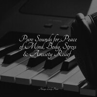 Rays of Light - Chilled Jazz Masters & Piano Pianissimo & Relaxaing Chillout Music