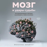 Йоханнес Фрайтаг. «Мозг и удары судьбы. Как запрограммировать свой разум на устойчивость к любым испытаниям». Часть 1 - Алексей Кизуб