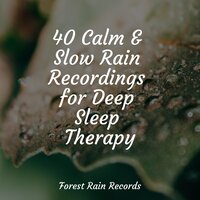 Lakeside, Birds, Lapping Water - Masters of Binaurality & Rain Spa & Nature Sounds XLE Library