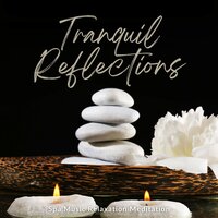 Massage Music - Spa Music Relaxation Meditation