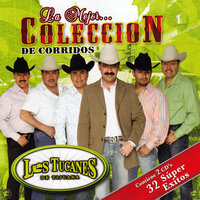 Fiesta En La Sierra - Los Tucanes De Tijuana