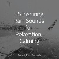 Ocean Waves and Seagulls - Relaxing Nature Ambience & Música Zen Relaxante & Rain