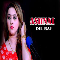 Geer Chaper Tayarey - Dil Raj