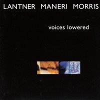 Voices Lowered - Steve Lantner & Joe Maneri & Joe Morris