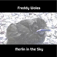 A New Family - Freddy Wales