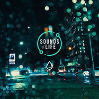 Rain in Car Stationary with Background Noise, Pt. 5 - Sounds Of Life
