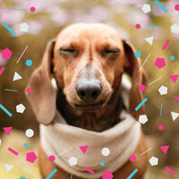 Tremendous Chill Dogs - Doggy Relaxing Sounds