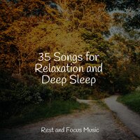 Breathe - Avslappning Sound & Ruído branco & Music to Relax in Free Time