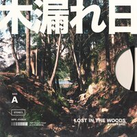 Lost In The Woods - KOMOREBI & Whimsical & Shou
