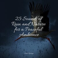 Moderate Rain - Tinnitus Aid & Smart Baby Lullaby & Rain Sounds Nature Collection