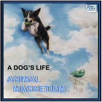 Old Dog Tray - Animal Magnetism & Tom Hall & Jennifer Ivester