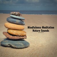 Morning Rain (Nature Sounds) - Meditation Day