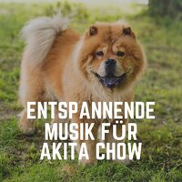Musik für einen glücklichen Hund - Entspannende Musik für Hunde