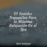 Cayendo Hacia Afuera - Entrenamiento Autógeno y Meditación Specialistas & Canciones Infantiles De Niños & El hada de las canciones de cuna