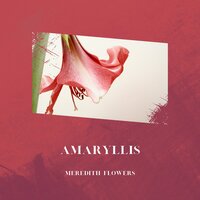 Calming Meditation - Meredith Flowers