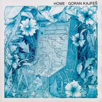 Life Insurance - Goran Kajfes