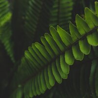 Perfect Harmony - Música Zen Relaxante & Master Meditação & Sleep Tight