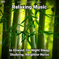 Quiet Music Pt. 20 - Relaxing Music by Darius Alire & Yoga & Relaxing music