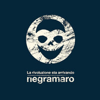 Tutto qui accade - Negramaro