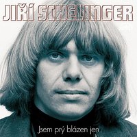 Holubí dům - Jiří Schelinger