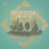 Taxicab Stands - Forteba