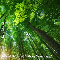 Clement Day Forest Birdsong Soundscape, Pt. 15 - Steve Brassel