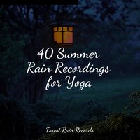 Ocean, Jetty, Small, Light Metal - Regengeräusche & Nature Sounds Nature Music & Zen Meditate