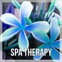 Nature Music - Serenity Spa Music Zone
