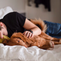 Music for Dogs and Cats and Sleep Music, Pt. 8 - Dog Music & Sleeping Music For Dogs & Music for Dog's Ears & Music For Cats