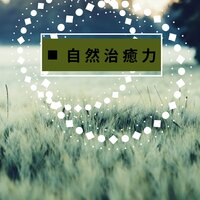 紅葉彩る季節 - リラクゼーション Club 自然